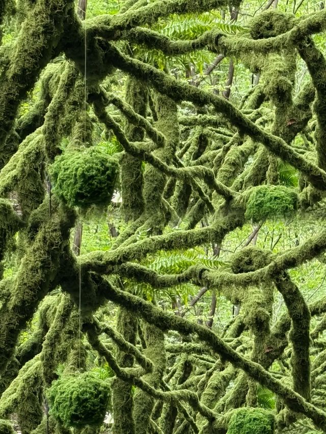 夏天短暫避暑好去處—洛陽