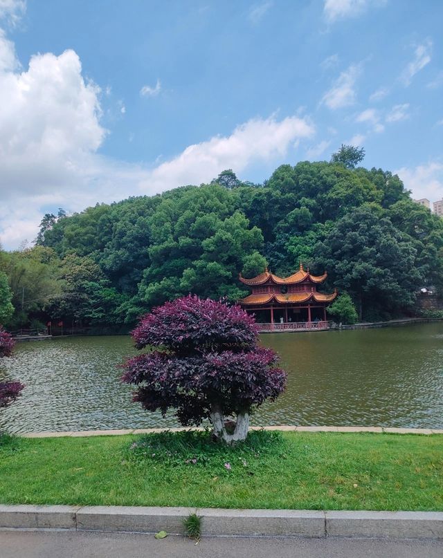 湖南南郊公園
