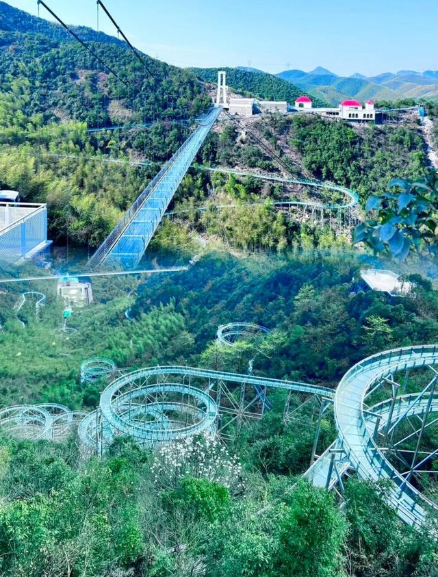 莫干山2日1夜｜闖入江南避暑勝地的綠野仙蹤