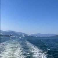 香港塔門島深度遊｜邂逅海上世外桃源🌊