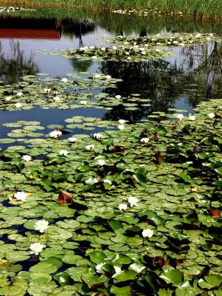 Xinzhou Yunzhong River Scenic Area