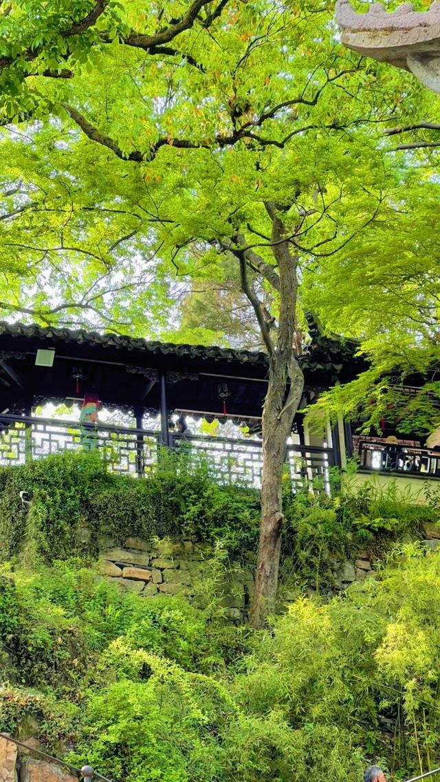 《虎丘花朝節，到底該點樣品嘗美食？》