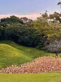 日本小石川後樂園攻略｜德川庭園與名剎 