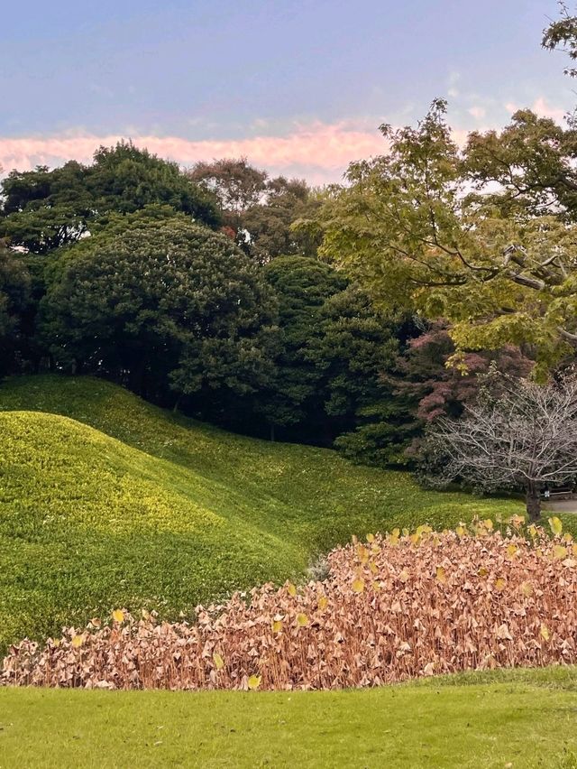 日本小石川後樂園攻略｜德川庭園與名剎 