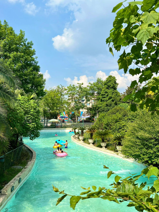 在成都！！這座水上森林樂園我能刷N次🌳💦🧊☀️