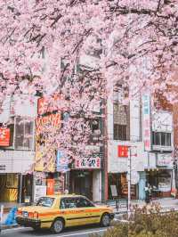 東京自由行避雷指南，呢8件事一定要留意！