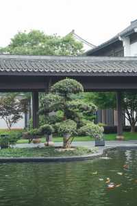 江浙滬詩意棲居 影到古風大片