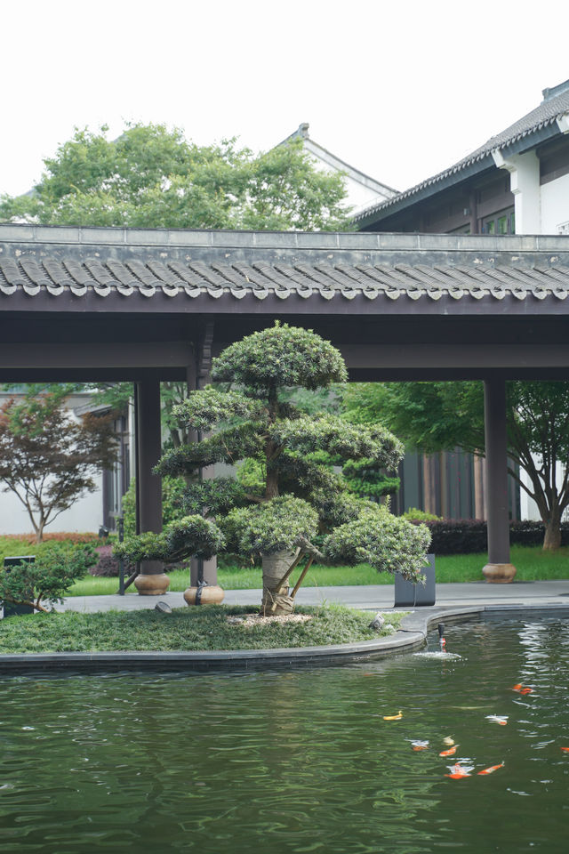 江浙滬詩意棲居 影到古風大片