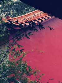 深圳弘法寺｜尋覓心靈淨土的奇幻之旅