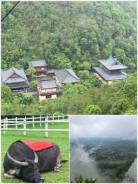 第一次去麗水，真係唔好跟團