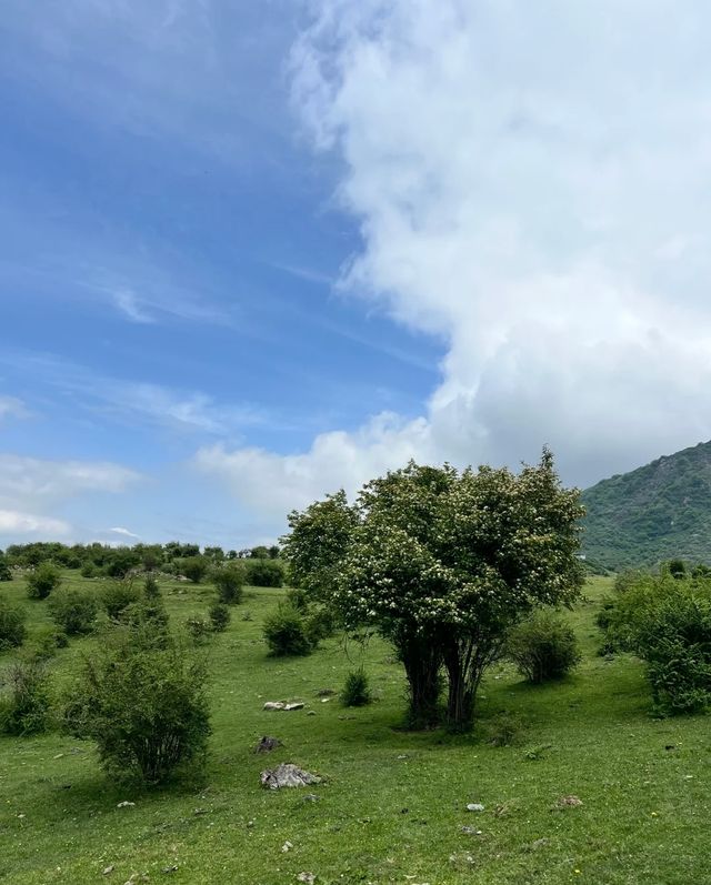 規劃好茂縣之旅，享受呢片美麗而神秘嘅土地。