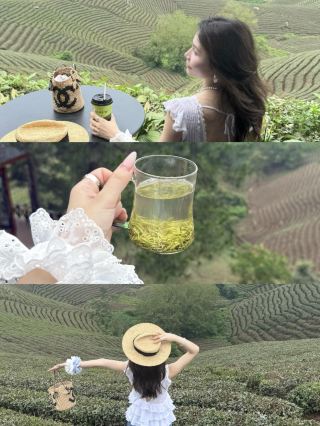 信陽嘅節奏真係好適合放空！
