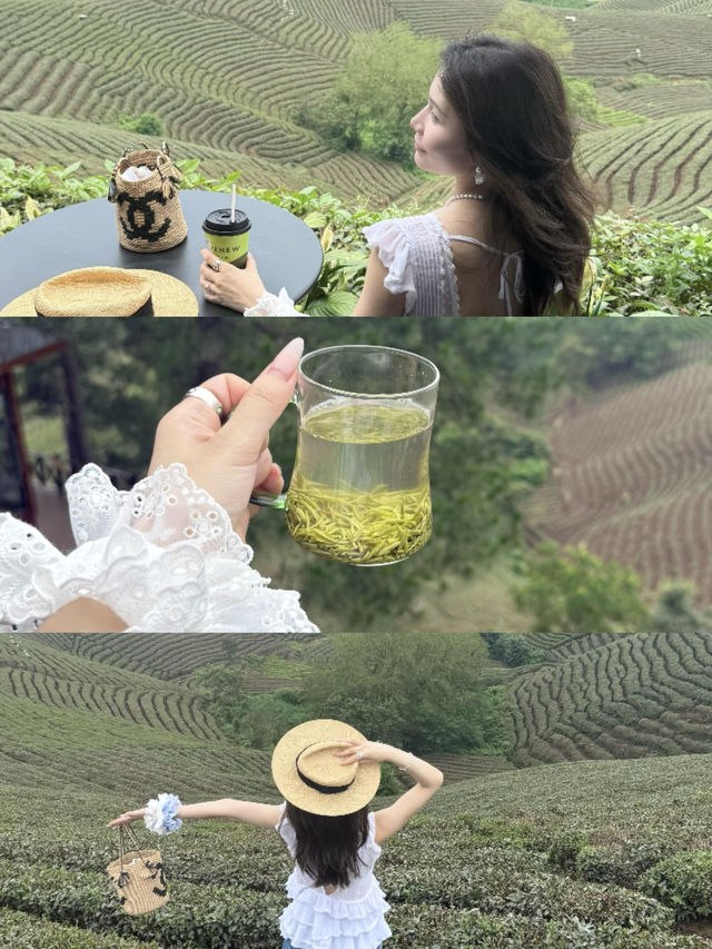 信陽嘅節奏真係好適合放空！