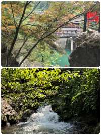 浙江小眾秘境！夏天20℃嘅「地下仙境」畀我搵到啦