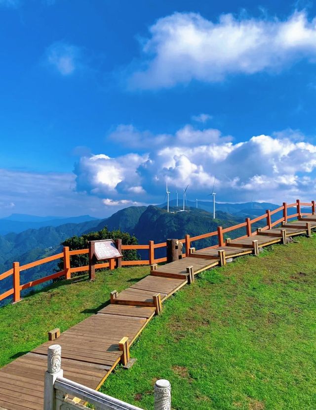 貴州六盤水烏蒙大草原‖風蕭蕭草低見牛羊 藍天白雲風車