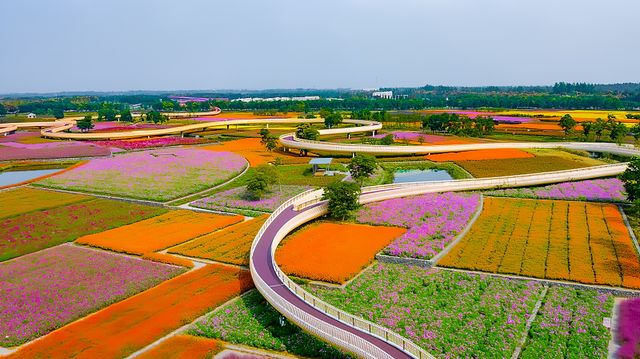 宿遷一日遊