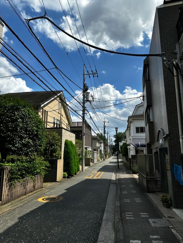 日本簽證最新辦理條件