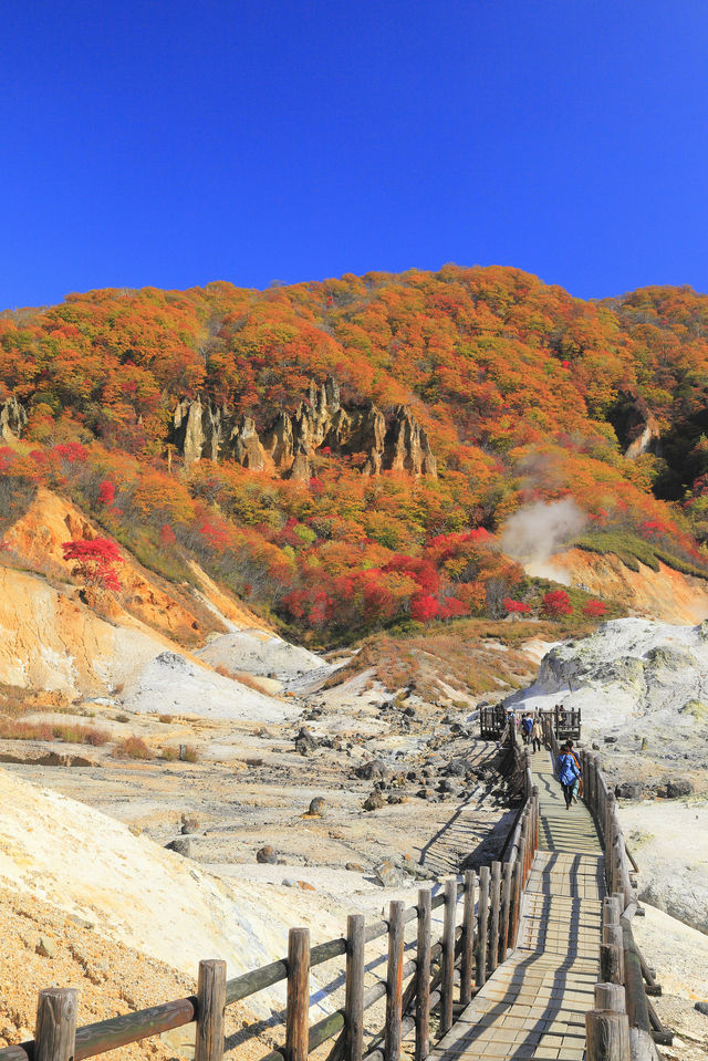 北海道｜一定要收藏嘅旅遊交通攻略～