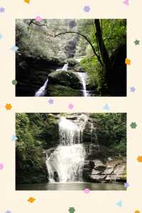 碧峰峽貼貼局丨23℃抱熊貓瀑降