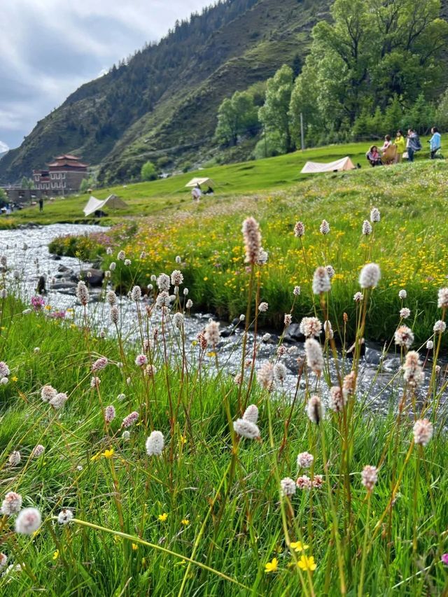 一定要去姑弄村|走進宮崎駿的夏天~