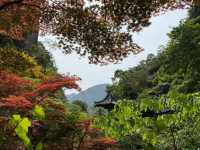 去咗4次雁蕩山，終於玩到明！