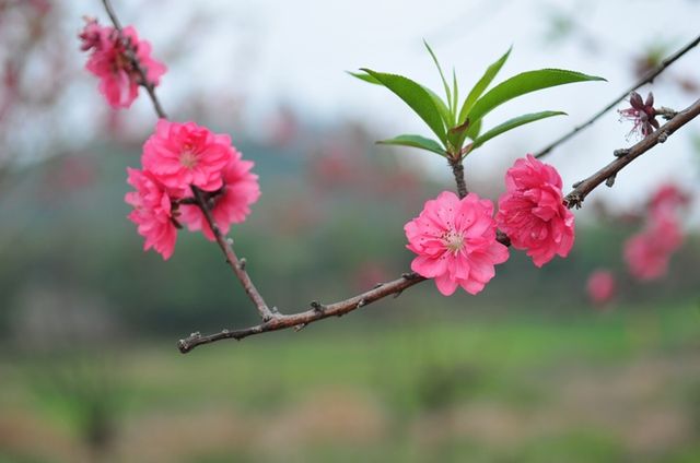 松山湖