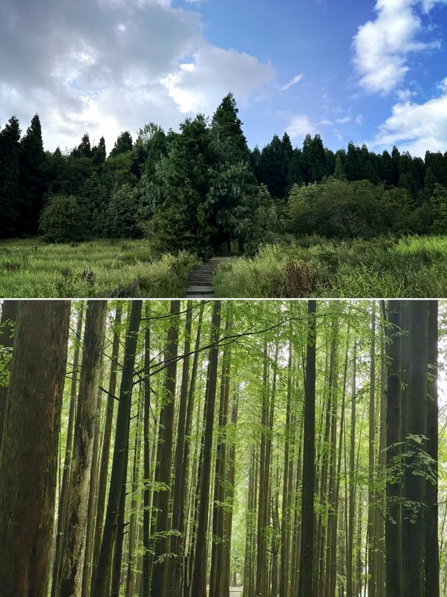 重慶避暑勝地｜武陵山森林公園2日1夜吸氧攻略
