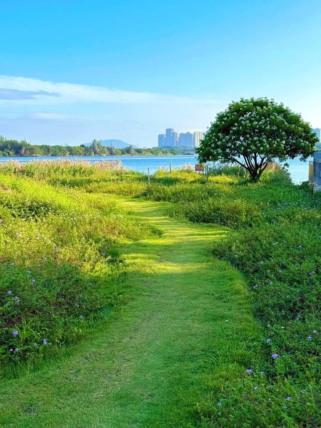 廈門集美水秀廣場漫遊指南 | 住錦江之星品尚，解鎖城市治癒時
