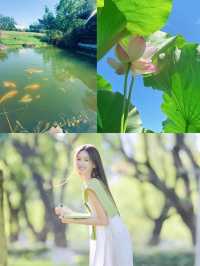 上海周邊太湖裸心泊，夏日度假天花板