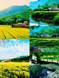 ** 住進山水畫！余村民宿體驗太治癒了！**