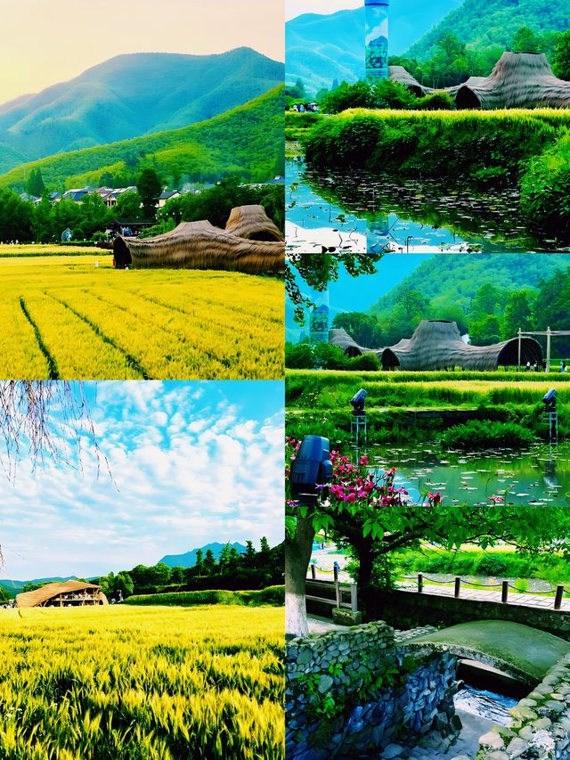 ** 住進山水畫！余村民宿體驗太治癒了！**