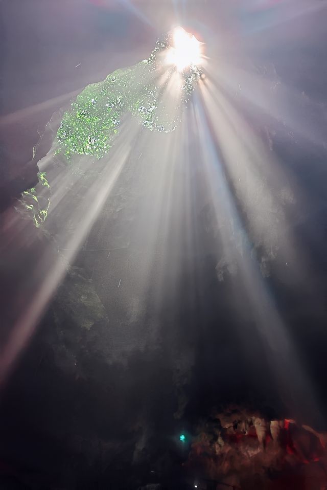 隱藏貴州秘境｜紅果樹