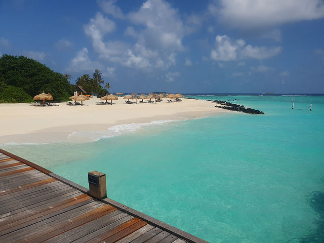 An Amazing Honeymoon Experience