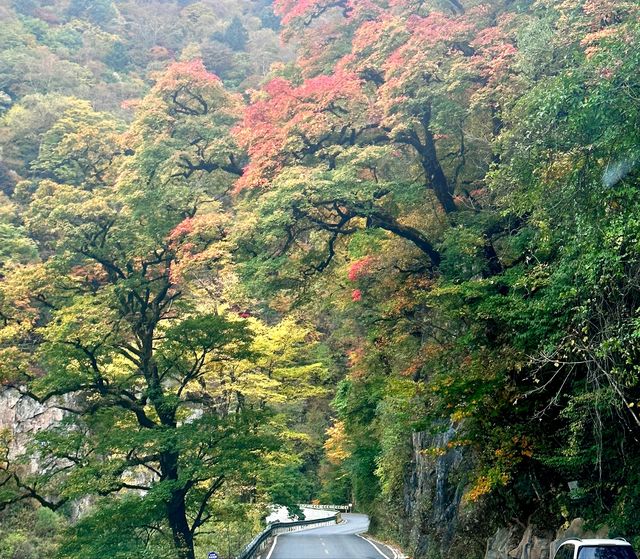 鄂西浪漫自駕6天5晚攻略：穿越山水間，邂逅最美的愛情故事