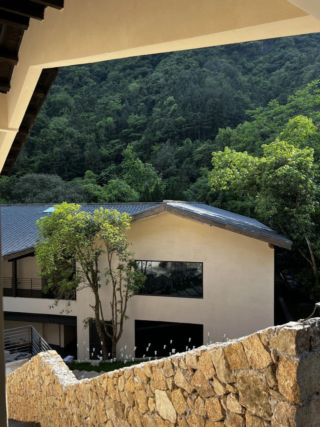 住進三清山神仙民宿躺看雲海品道家哲學