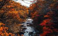 五女山秋：紅葉雲海，遼東秘境