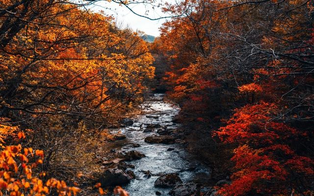 五女山秋：紅葉雲海，遼東秘境