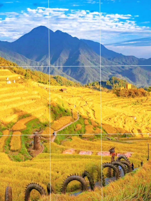 賞秋勝地麗水打卡