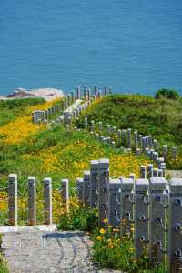 東極島很美，下次不會再去了因為…