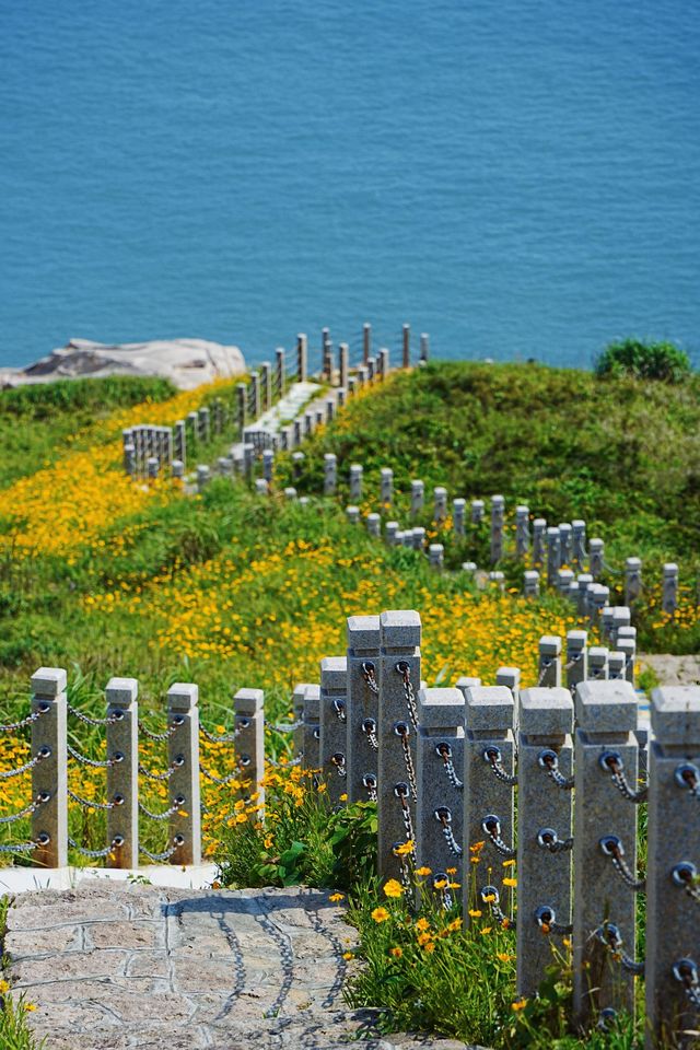 東極島很美，下次不會再去了因為…