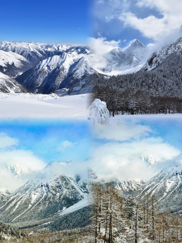 推薦一個超絕的看雪地方----四川畢棚溝｜南方人看雪狂喜攻略