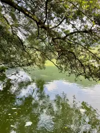 柳州｜龍潭公園打卡路線