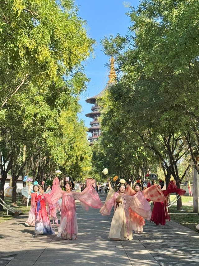 洛陽絕絕子！隋唐古城穿越之旅美到哭