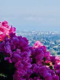 洛杉磯植物園 孔雀園 蓋蒂中心 天文台