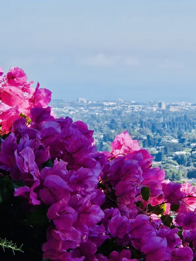 洛杉磯植物園 孔雀園 蓋蒂中心 天文台