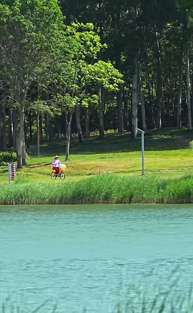 龍子湖日落絕美機位 龍子湖日落絕美機位