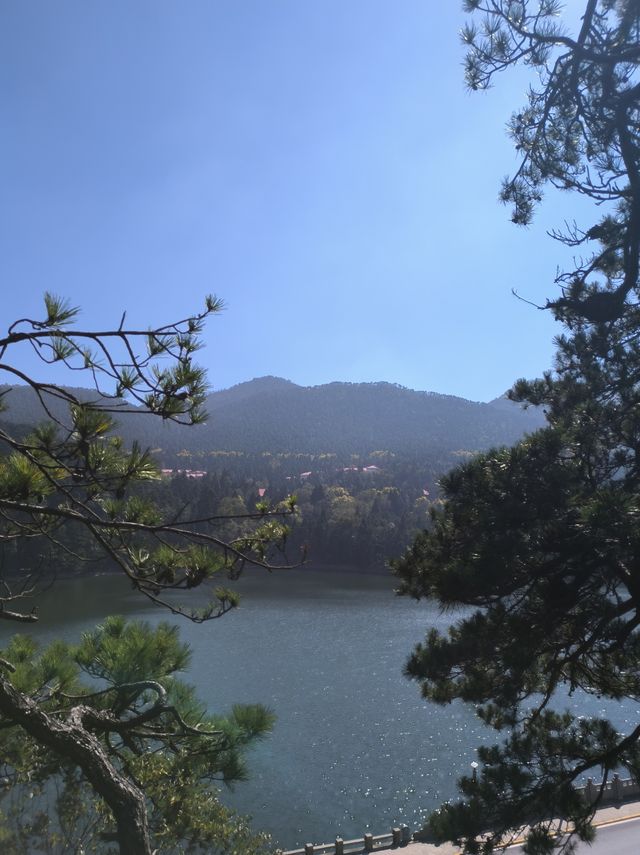 霧隱嵐山火燭幽