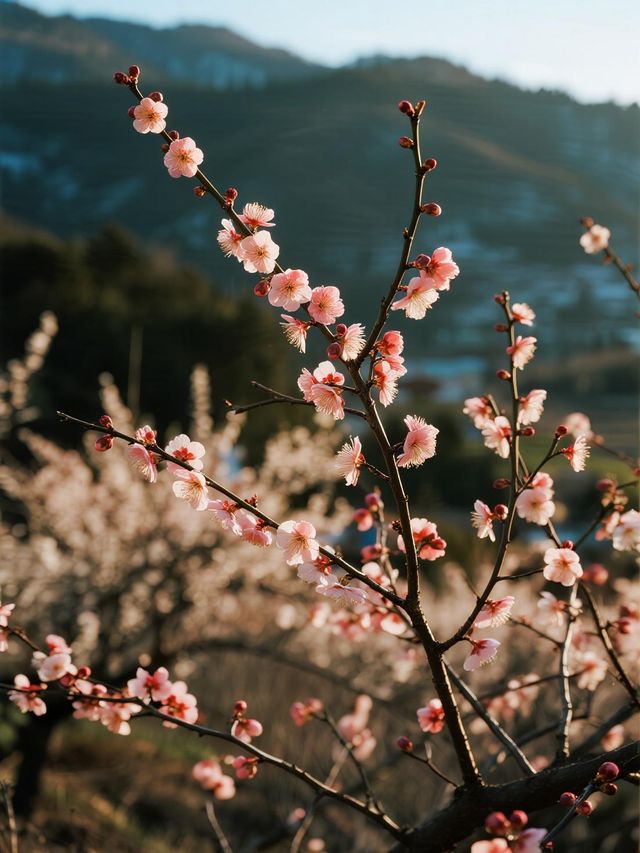 親子旅行攻略｜帶娃衝南極洛！住既下山+輕徒步攻略​