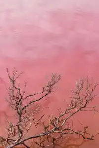 Hutt Lagoon |粉湖,又是跟著老周遊西澳的一