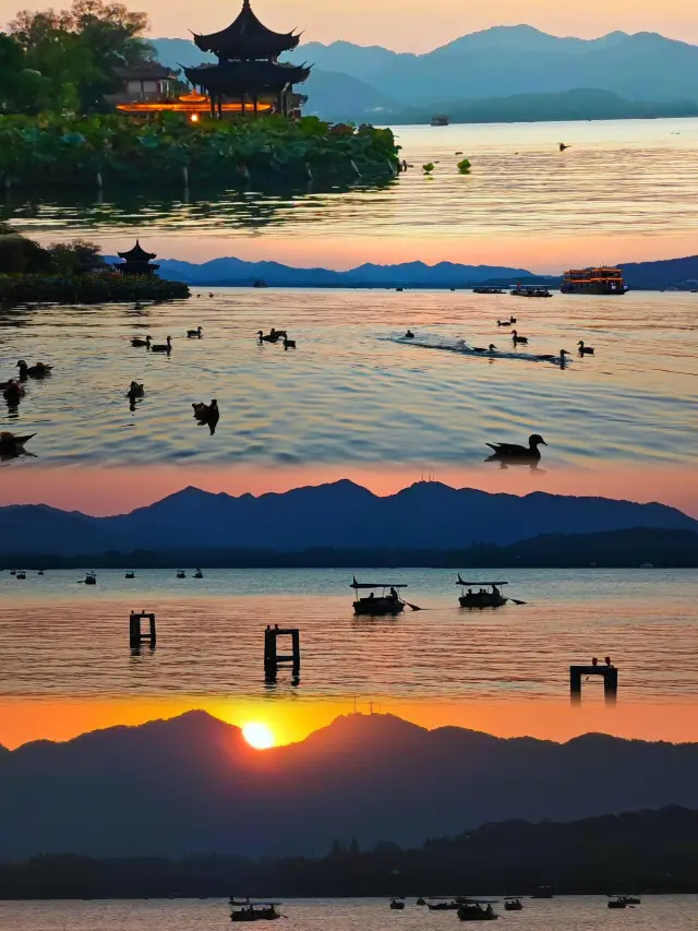 I am completely won over by the sunset at West Lake! The mandarin ducks by the lake have stolen the spotlight as the real drama queens, who even cares about watching the sunset anymore? 